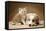 Puppy Lying Together with Kitten-null-Framed Stretched Canvas