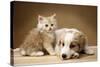 Puppy Lying Together with Kitten-null-Stretched Canvas