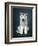 Puppy Of Siberian Husky-ingret-Framed Photographic Print