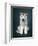 Puppy Of Siberian Husky-ingret-Framed Photographic Print