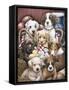 Puppy Pals-Jenny Newland-Framed Stretched Canvas