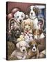 Puppy Pals-Jenny Newland-Stretched Canvas