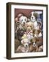 Puppy Pals-Jenny Newland-Framed Giclee Print