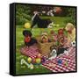 Puppy Picnic-William Vanderdasson-Framed Stretched Canvas