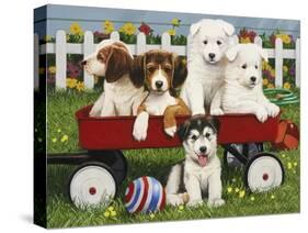 Puppy "Play Date"-William Vanderdasson-Stretched Canvas