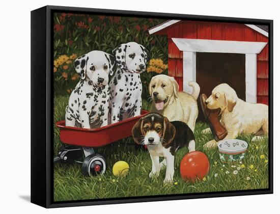 Puppy Playmates-William Vanderdasson-Framed Stretched Canvas