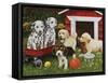 Puppy Playmates-William Vanderdasson-Framed Stretched Canvas