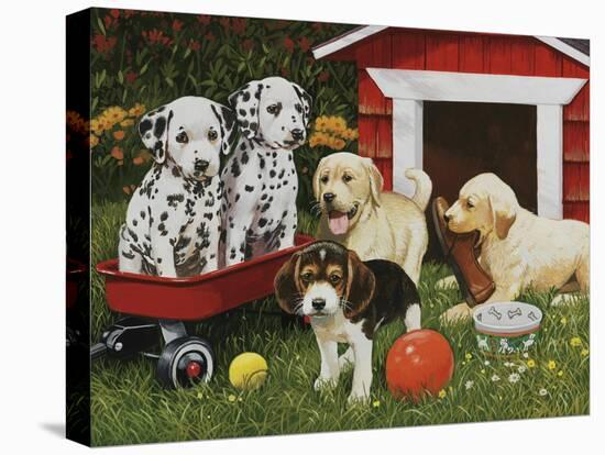 Puppy Playmates-William Vanderdasson-Stretched Canvas