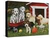 Puppy Playmates-William Vanderdasson-Stretched Canvas
