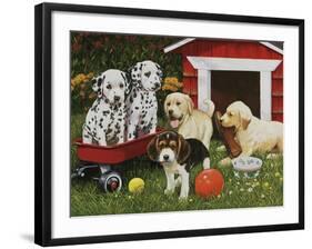 Puppy Playmates-William Vanderdasson-Framed Giclee Print