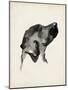 Puppy Profile I-Ethan Harper-Mounted Art Print