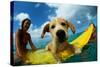 Puppy Riding on Surfboard-Rick Doyle-Stretched Canvas