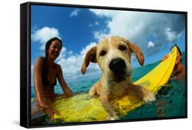 Puppy Riding on Surfboard-Rick Doyle-Framed Stretched Canvas