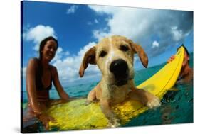 Puppy Riding on Surfboard-Rick Doyle-Stretched Canvas