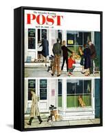 "Puppy Sellout," Saturday Evening Post Cover, April 30, 1960-George Hughes-Framed Stretched Canvas