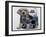 Puppy Tails-Jenny Newland-Framed Giclee Print