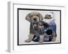 Puppy Tails-Jenny Newland-Framed Giclee Print