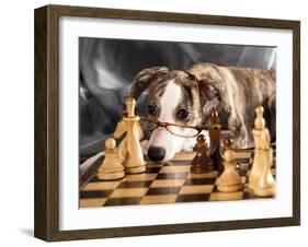 Puppy To Play Chess-Lilun-Framed Photographic Print