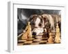 Puppy To Play Chess-Lilun-Framed Photographic Print