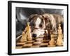 Puppy To Play Chess-Lilun-Framed Photographic Print