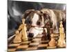 Puppy To Play Chess-Lilun-Mounted Photographic Print