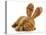 Puppy Wearing Bunny Ears - Dog De Bordeaux Wearing Easter Bunny Ears on White Background-Willee Cole-Stretched Canvas