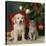 Puppy with Kitten under Christmas Tree-null-Stretched Canvas