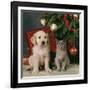 Puppy with Kitten under Christmas Tree-null-Framed Photographic Print