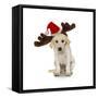 Puppy with Santa Hat and Reindeer Ears-Lew Robertson-Framed Stretched Canvas