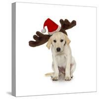 Puppy with Santa Hat and Reindeer Ears-Lew Robertson-Stretched Canvas