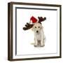 Puppy with Santa Hat and Reindeer Ears-Lew Robertson-Framed Photographic Print