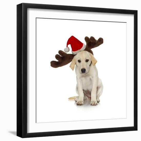 Puppy with Santa Hat and Reindeer Ears-Lew Robertson-Framed Photographic Print