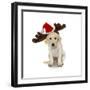 Puppy with Santa Hat and Reindeer Ears-Lew Robertson-Framed Photographic Print