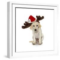 Puppy with Santa Hat and Reindeer Ears-Lew Robertson-Framed Photographic Print