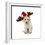 Puppy with Santa Hat and Reindeer Ears-Lew Robertson-Framed Photographic Print