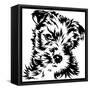 Puppy-turtleteeth-Framed Stretched Canvas