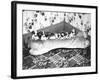 Pups and Bones, Goshen, Indiana, c.1953-null-Framed Photographic Print