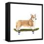 Pups on Wheels III-Annie Warren-Framed Stretched Canvas