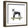 Pups on Wheels IV-Annie Warren-Framed Art Print