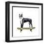 Pups on Wheels IV-Annie Warren-Framed Art Print