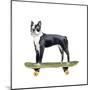 Pups on Wheels IV-Annie Warren-Mounted Art Print