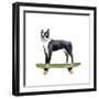 Pups on Wheels IV-Annie Warren-Framed Art Print