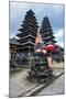 Pura Besakih Temple Complex, Bali, Indonesia, Southeast Asia, Asia-Michael Runkel-Mounted Photographic Print