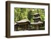 Pura Kehen Hindu Temple, Bangli, Ubud, Bali, Indonesia, Southeast Asia, Asia-Tony Waltham-Framed Photographic Print