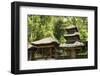 Pura Kehen Hindu Temple, Bangli, Ubud, Bali, Indonesia, Southeast Asia, Asia-Tony Waltham-Framed Photographic Print