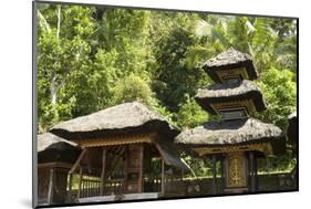 Pura Kehen Hindu Temple, Bangli, Ubud, Bali, Indonesia, Southeast Asia, Asia-Tony Waltham-Mounted Photographic Print