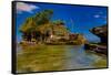 Pura Tanah Lot, Sea Temple, Bali, Indonesia, Southeast Asia, Asia-Laura Grier-Framed Stretched Canvas