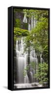 Purakanui Falls, Catlins, Otago, South Island, New Zealand-Rainer Mirau-Framed Stretched Canvas