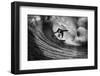 Pure adrenaline-Claudio Moretti-Framed Photographic Print