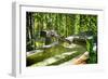 Pure Bamboo Spring-George Oze-Framed Photographic Print